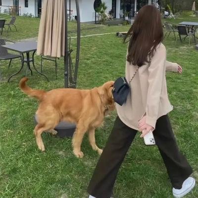剧集版超能陆战队第二季